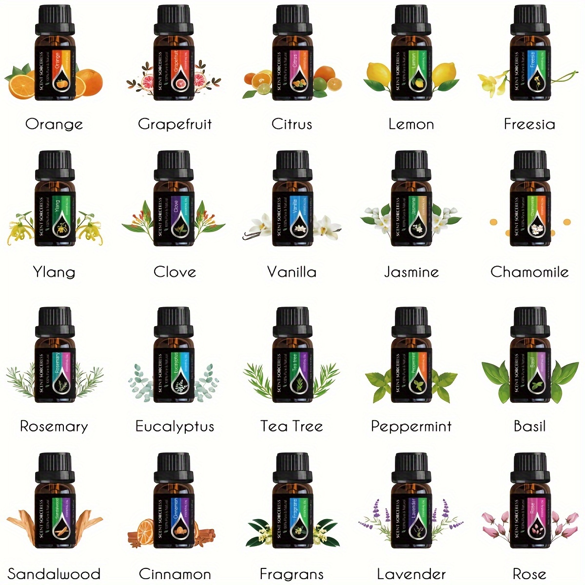 20 pz/set Set di Olio Essenzia - Spa Y Wellness recensione e prezzo